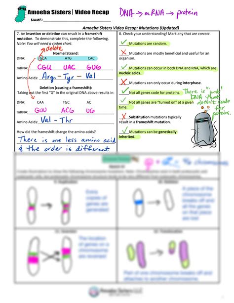 amoeba sisters video recap mutations updated answer key quizlet|amoeba sisters handout answer keys.